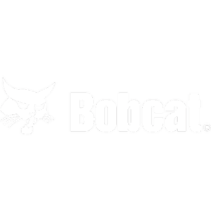 Bobcat